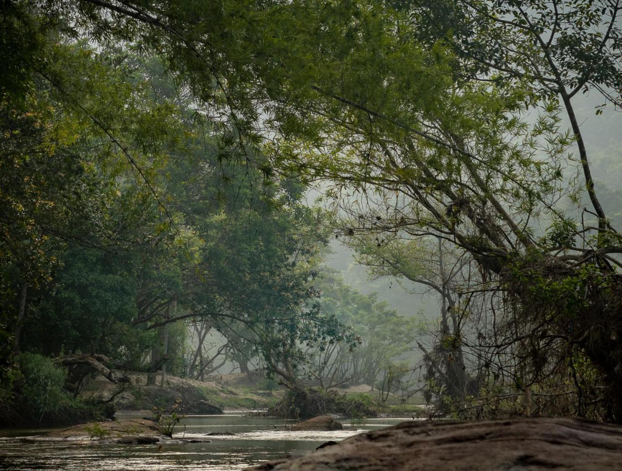 Quiet By The River- Cgh Earth Thodakayam Екстериор снимка